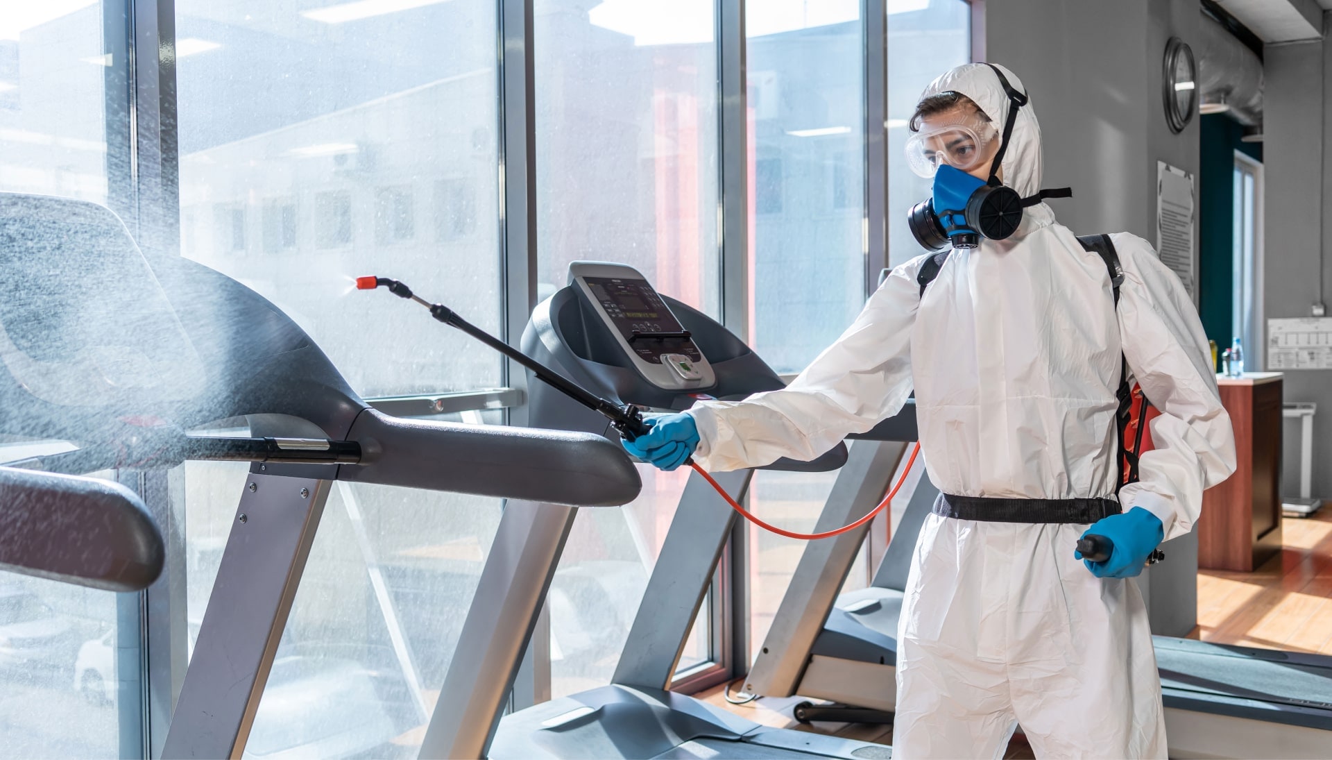 Commercial Mold Removal Services in Hopkinsville