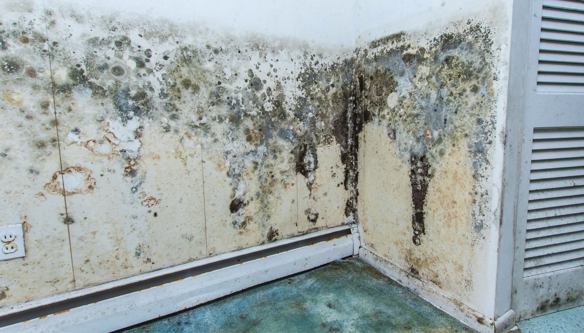 A mold remediation team using specialized techniques to remove mold damage and control odors in a Hopkinsville property, with a focus on safety and efficiency